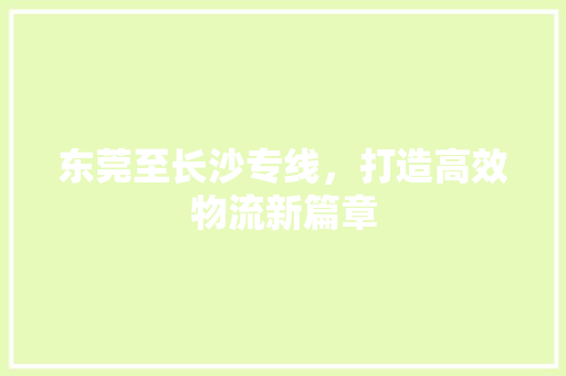 东莞至长沙专线，打造高效物流新篇章 东莞至长沙专线，打造高效物流新篇章 必应SEO