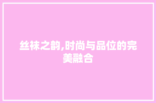 丝袜之韵,时尚与品位的完美融合