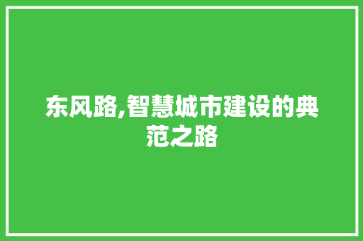 东风路,智慧城市建设的典范之路