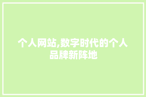 个人网站,数字时代的个人品牌新阵地