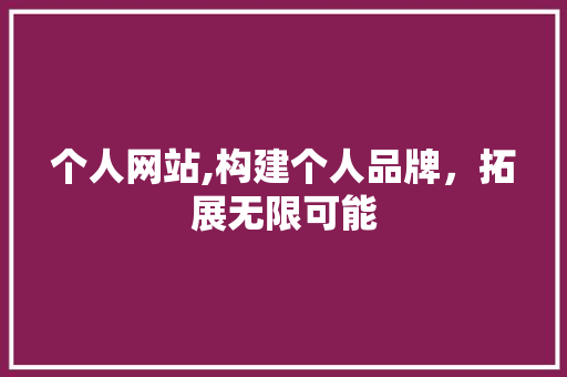 个人网站,构建个人品牌，拓展无限可能