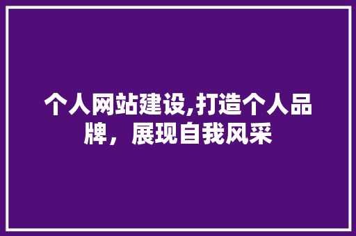 个人网站建设,打造个人品牌，展现自我风采
