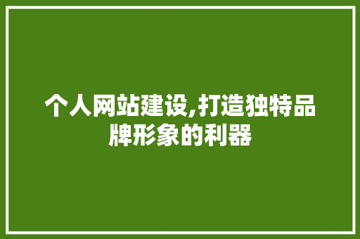 个人网站建设,打造独特品牌形象的利器