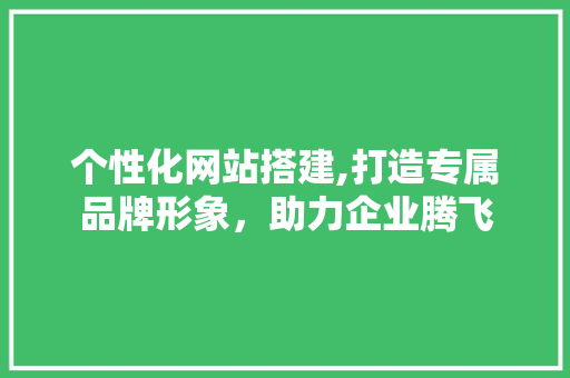 个性化网站搭建,打造专属品牌形象，助力企业腾飞