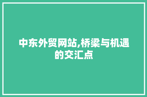 中东外贸网站,桥梁与机遇的交汇点