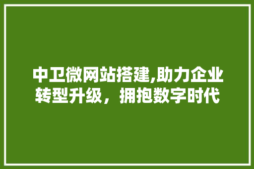 中卫微网站搭建,助力企业转型升级，拥抱数字时代 中卫微网站搭建,助力企业转型升级，拥抱数字时代 网站建设公司