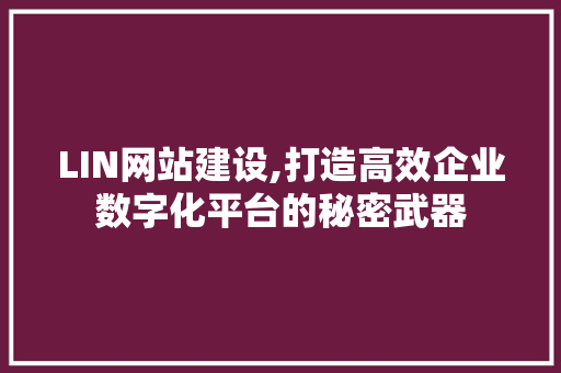 LIN网站建设,打造高效企业数字化平台的秘密武器