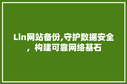 Lin网站备份,守护数据安全，构建可靠网络基石