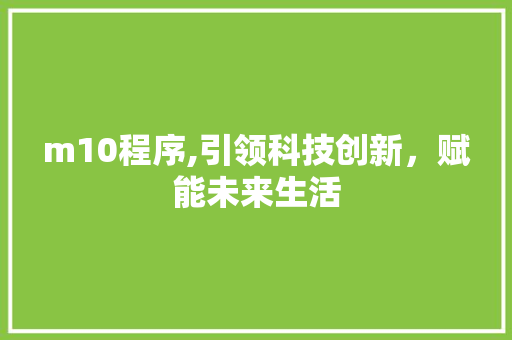 m10程序,引领科技创新，赋能未来生活