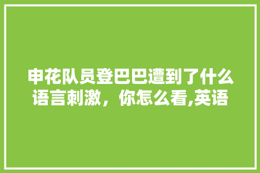 申花队员登巴巴遭到了什么语言刺激，你怎么看,英语唇语为什么看不懂呢。 申花队员登巴巴遭到了什么语言刺激，你怎么看,英语唇语为什么看不懂呢。 网站建设公司