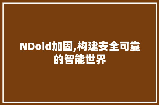 NDoid加固,构建安全可靠的智能世界