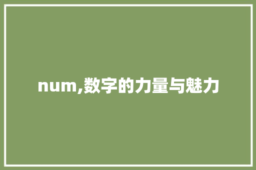 num,数字的力量与魅力