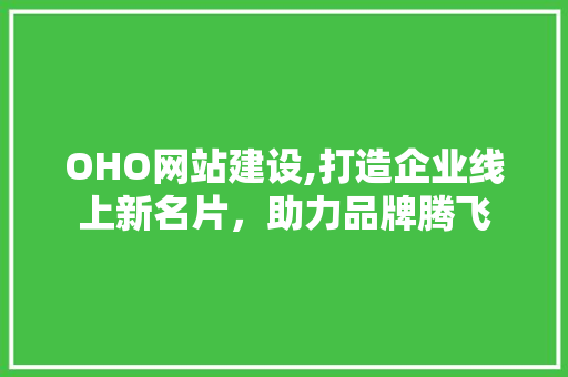 OHO网站建设,打造企业线上新名片，助力品牌腾飞 OHO网站建设,打造企业线上新名片，助力品牌腾飞 神马SEO
