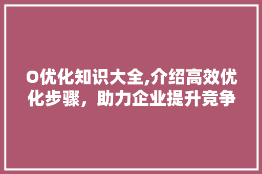 O优化知识大全,介绍高效优化步骤，助力企业提升竞争力