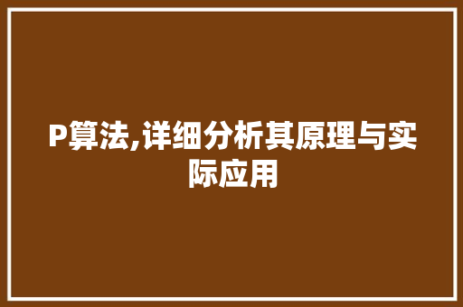 P算法,详细分析其原理与实际应用