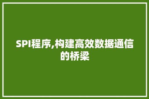 SPI程序,构建高效数据通信的桥梁