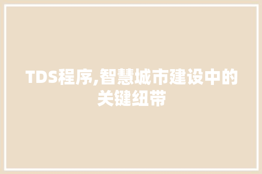 TDS程序,智慧城市建设中的关键纽带