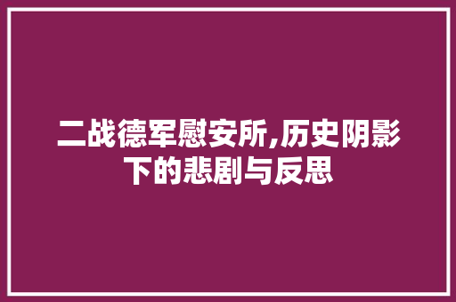 二战德军慰安所,历史阴影下的悲剧与反思