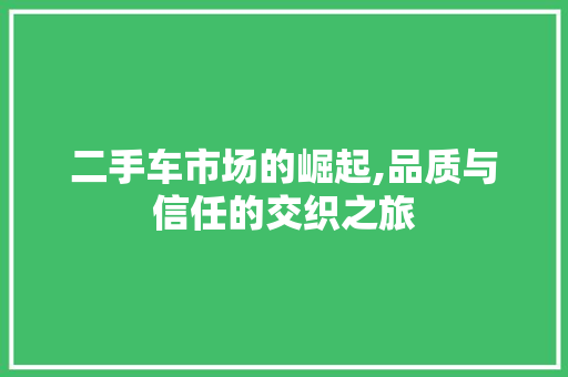 二手车市场的崛起,品质与信任的交织之旅