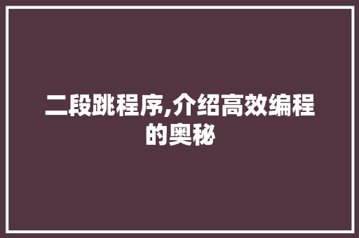二段跳程序,介绍高效编程的奥秘 二段跳程序,介绍高效编程的奥秘 SEO关键词