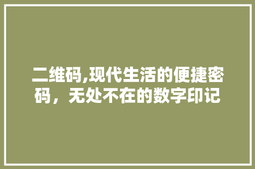 二维码,现代生活的便捷密码，无处不在的数字印记 二维码,现代生活的便捷密码，无处不在的数字印记 神马SEO