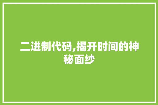 二进制代码,揭开时间的神秘面纱 二进制代码,揭开时间的神秘面纱 搜狗SEO