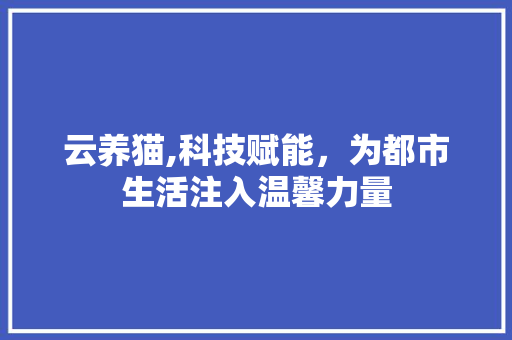云养猫,科技赋能，为都市生活注入温馨力量