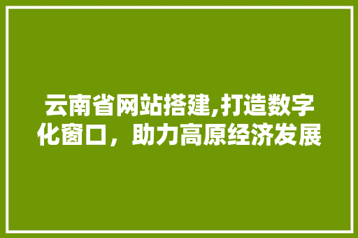 云南省网站搭建,打造数字化窗口，助力高原经济发展
