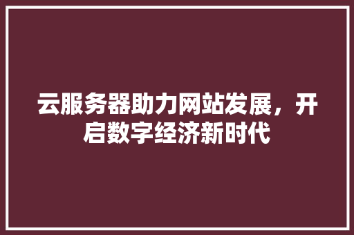 云服务器助力网站发展，开启数字经济新时代