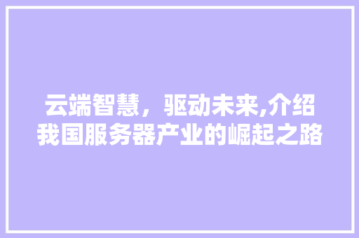 云端智慧，驱动未来,介绍我国服务器产业的崛起之路