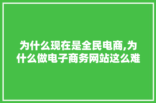 为什么现在是全民电商,为什么做电子商务网站这么难。