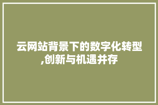 云网站背景下的数字化转型,创新与机遇并存