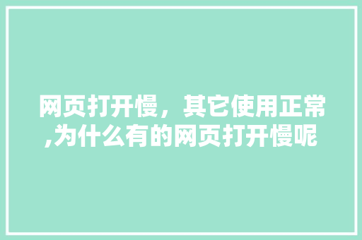 网页打开慢，其它使用正常,为什么有的网页打开慢呢。 网页打开慢，其它使用正常,为什么有的网页打开慢呢。 必应SEO