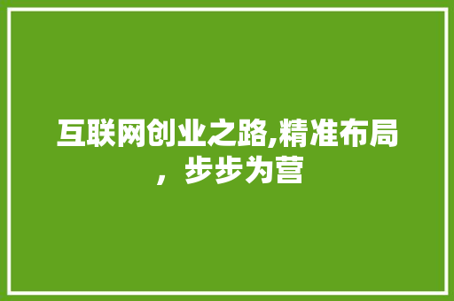 互联网创业之路,精准布局，步步为营 互联网创业之路,精准布局，步步为营 百度SEO