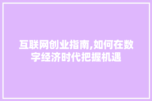 互联网创业指南,如何在数字经济时代把握机遇