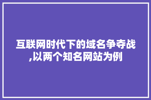 互联网时代下的域名争夺战,以两个知名网站为例