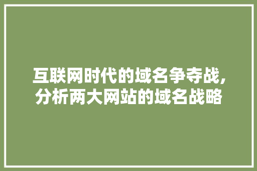 互联网时代的域名争夺战,分析两大网站的域名战略 互联网时代的域名争夺战,分析两大网站的域名战略 SEO关键词