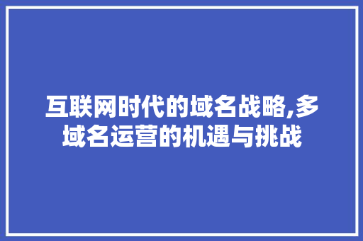 互联网时代的域名战略,多域名运营的机遇与挑战 互联网时代的域名战略,多域名运营的机遇与挑战 网站建设公司