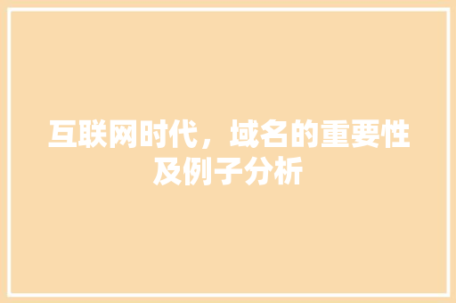 互联网时代，域名的重要性及例子分析