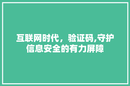 互联网时代，验证码,守护信息安全的有力屏障