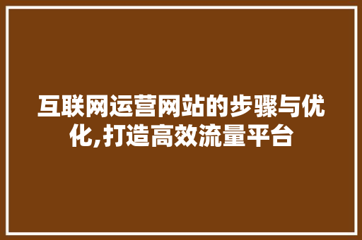 互联网运营网站的步骤与优化,打造高效流量平台