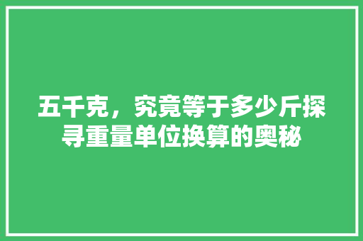 五千克，究竟等于多少斤探寻重量单位换算的奥秘 五千克，究竟等于多少斤探寻重量单位换算的奥秘 百度SEO
