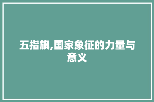 五指旗,国家象征的力量与意义