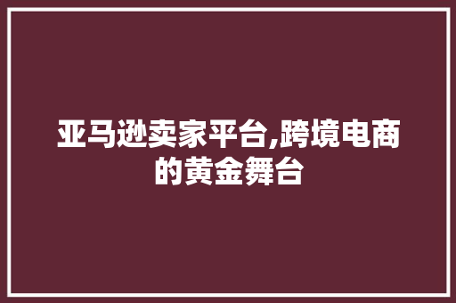 亚马逊卖家平台,跨境电商的黄金舞台