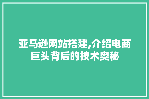亚马逊网站搭建,介绍电商巨头背后的技术奥秘