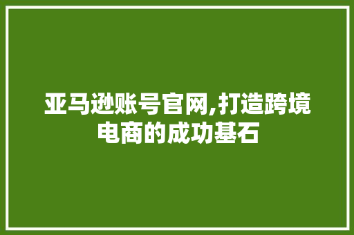 亚马逊账号官网,打造跨境电商的成功基石