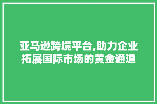 亚马逊跨境平台,助力企业拓展国际市场的黄金通道