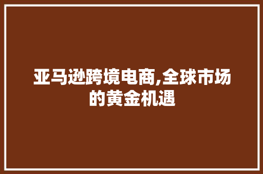 亚马逊跨境电商,全球市场的黄金机遇