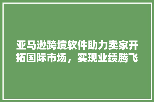 亚马逊跨境软件助力卖家开拓国际市场，实现业绩腾飞