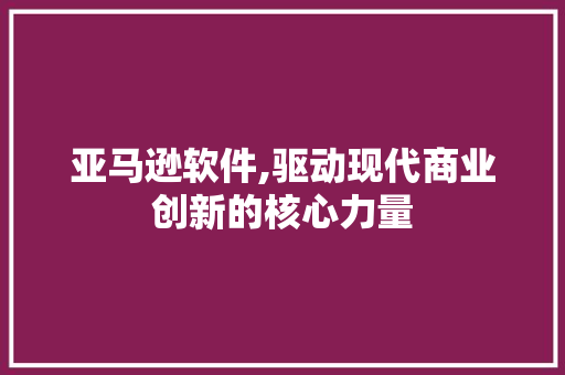 亚马逊软件,驱动现代商业创新的核心力量